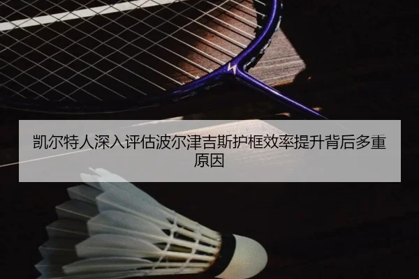 凯尔特人深入评估波尔津吉斯护框效率提升背后多重原因
